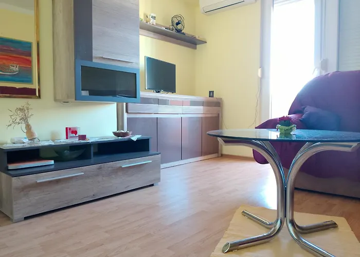 Rise And Shine! * 풀라